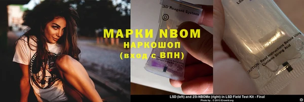прущие грибы Богданович