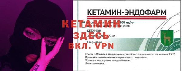 прущие грибы Богданович
