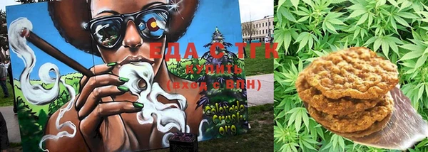 стафф Ростов