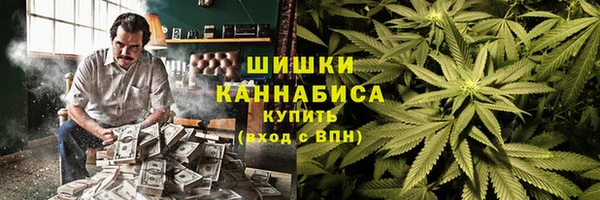 прущие грибы Богданович