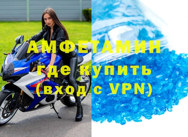 прущие грибы Богданович