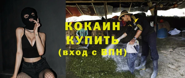 прущие грибы Богданович