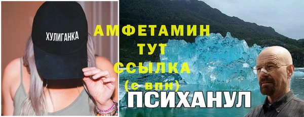 прущие грибы Богданович